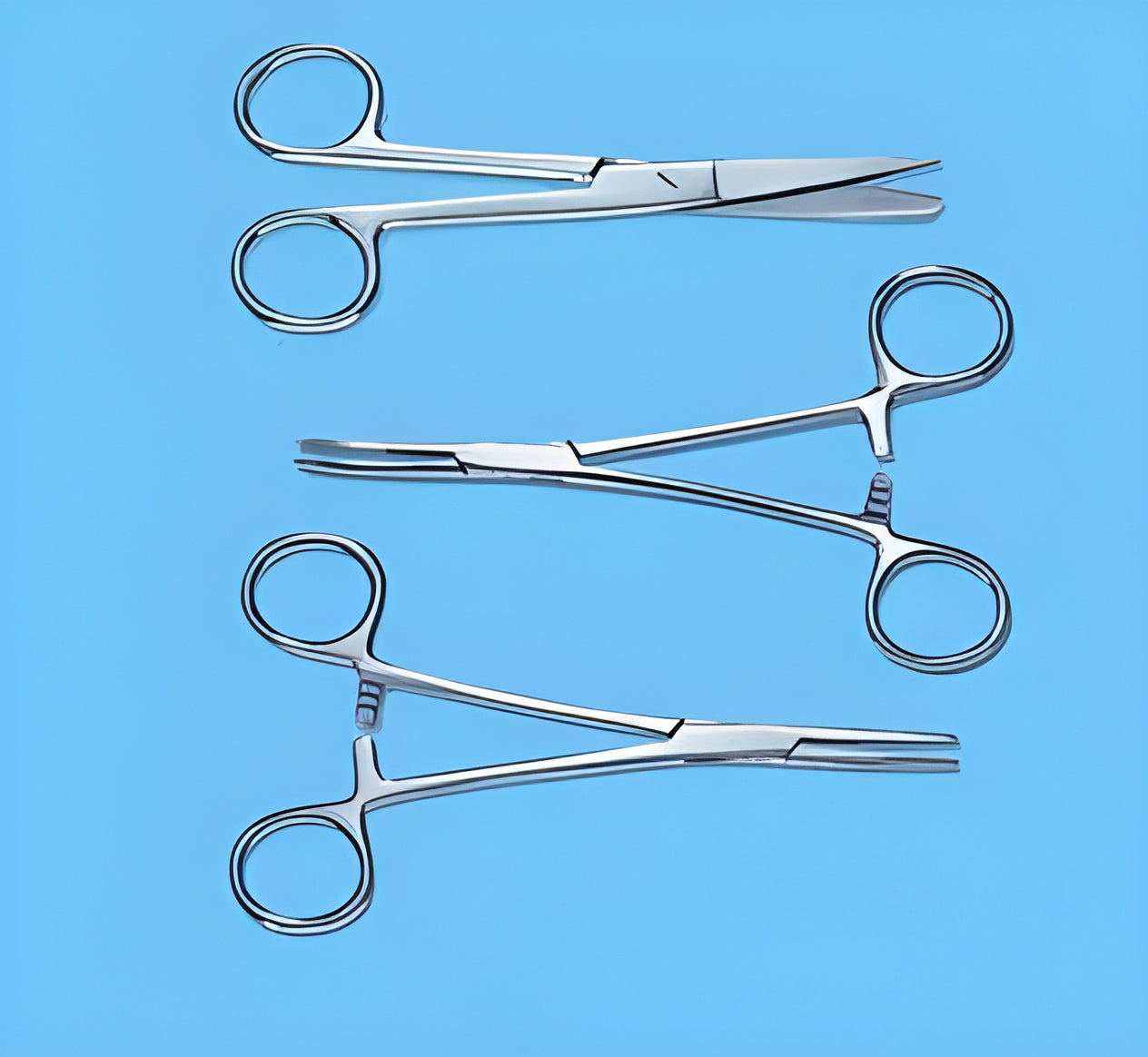 Hemostatic Forceps Kelly 5-1/2 Inch